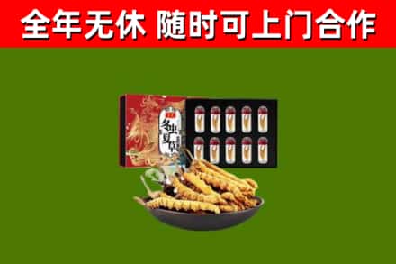 延边市回收冬虫夏草价格